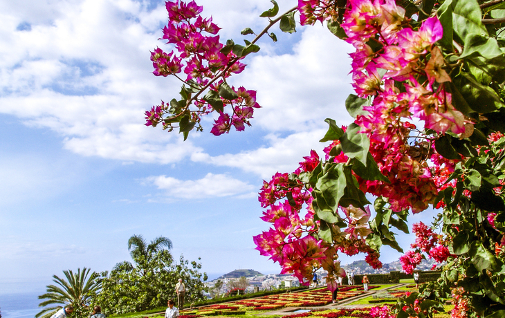 Madeira Botanical Garden