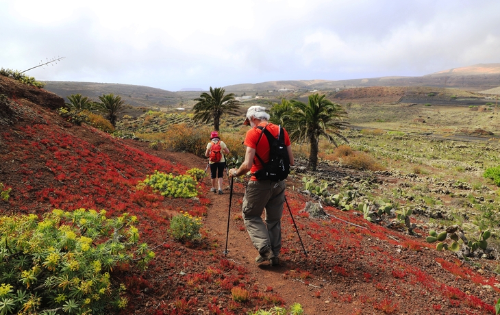 Wanderung auf Lanzarote