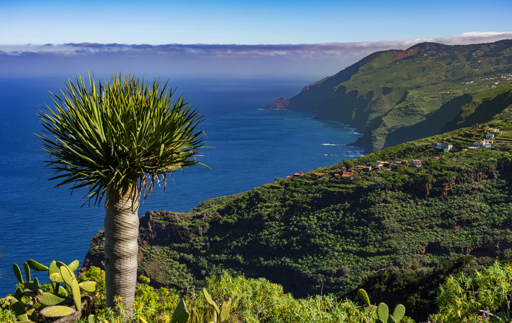 La Palma: Wanderung am Barranco Fagundo im Norden 