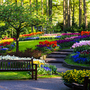 Tulpenblüte im Keukenhof