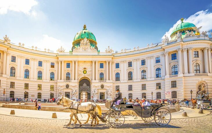 Fiaker vor der Hofburg in Wien