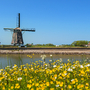 Windmühle auf der niederländischen Insel Texel